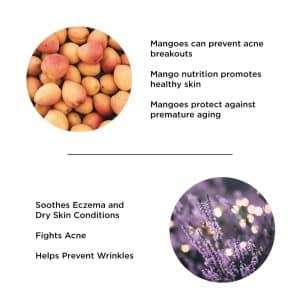 Satliva Mango Lavender Face Cream