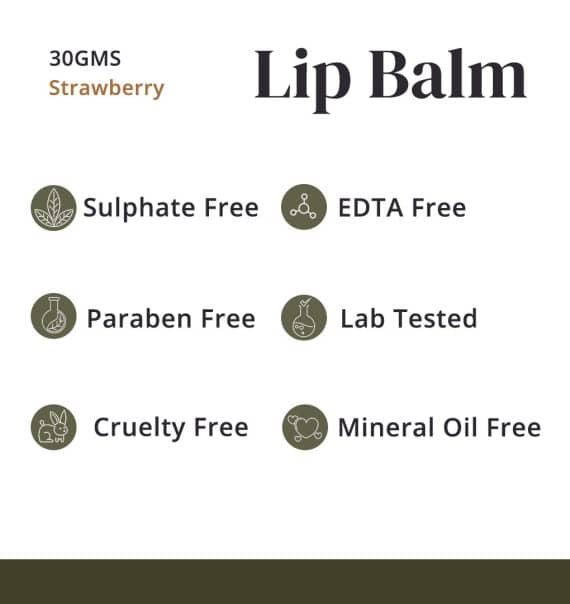 The Hemp Chapter Lip Balm 30gm