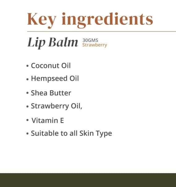 The Hemp Chapter Lip Balm 30gm