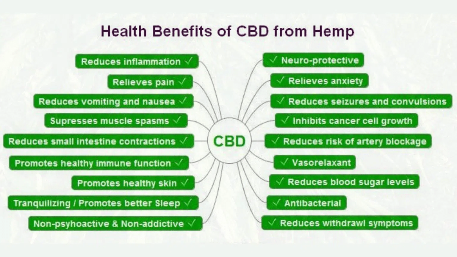 Dr Cbd