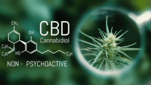 What is CBD Oil?