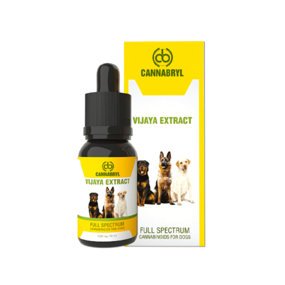 Cannabryl Full Spectrum Vijaya Extract For Dogs 1:1 (Balanced) 1500mg