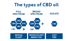 Types of CBD Oil