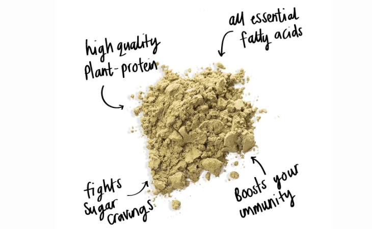 Hemp Protein in India