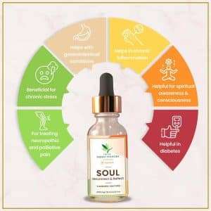 TWIEE SOUL Cannabis Tincture