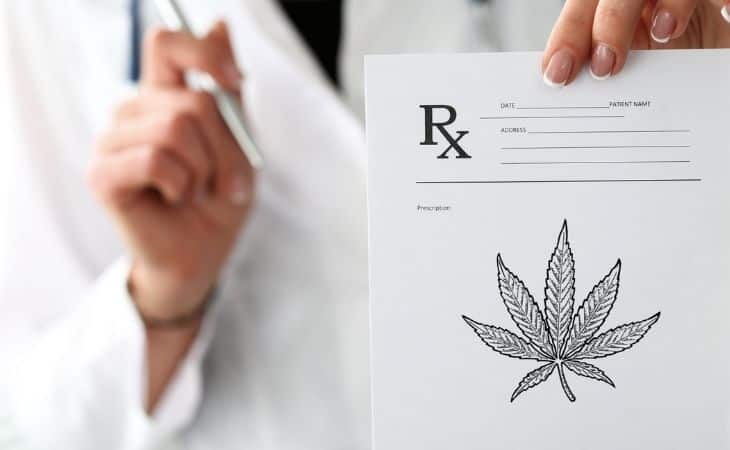 Cannabis Doctors