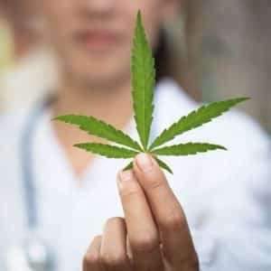 Medical Cannabis Doctors in India