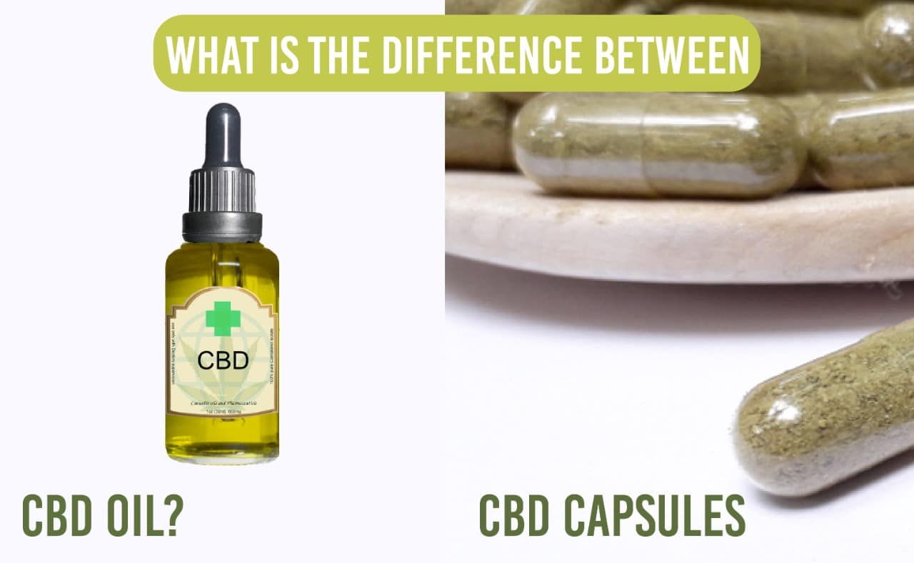 diffrence between cbd oil and cbd capsules