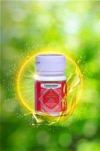 Cannarma ULTRA PREMIUM Manmath Ras