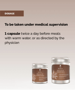 BOHECO Digest For Healthy Gut & Digestion Capsules
