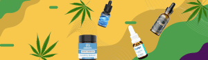 CBD Oil in Chandigarh Punjab