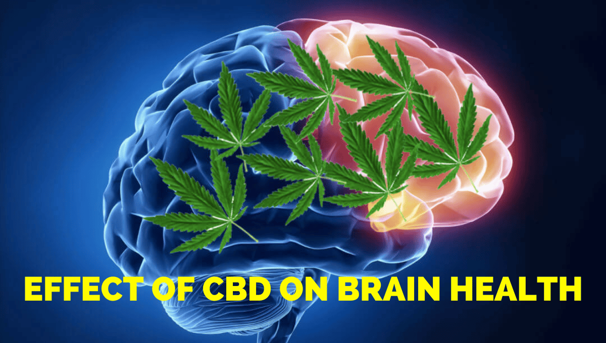 Effect of CBD On Brain Health
