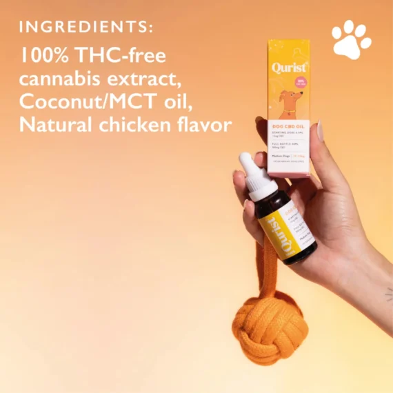 Dog CBD Oil