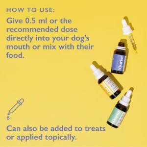 Dog CBD Oil