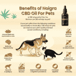Noigra CBD Oil For Pets (500mg)