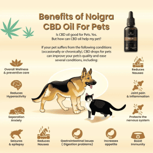 Noigra CBD Oil For Pets (500mg)