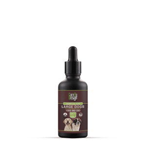 CBD Oil for Large Dogs