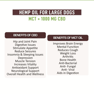 CBD Oil for Large Dogs