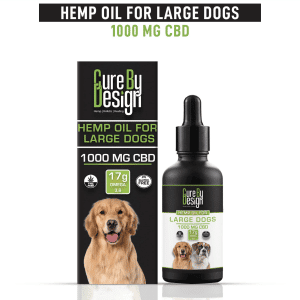 CBD Oil for Large Dogs