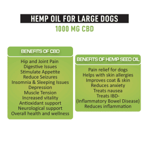 CBD Oil for Large Dogs