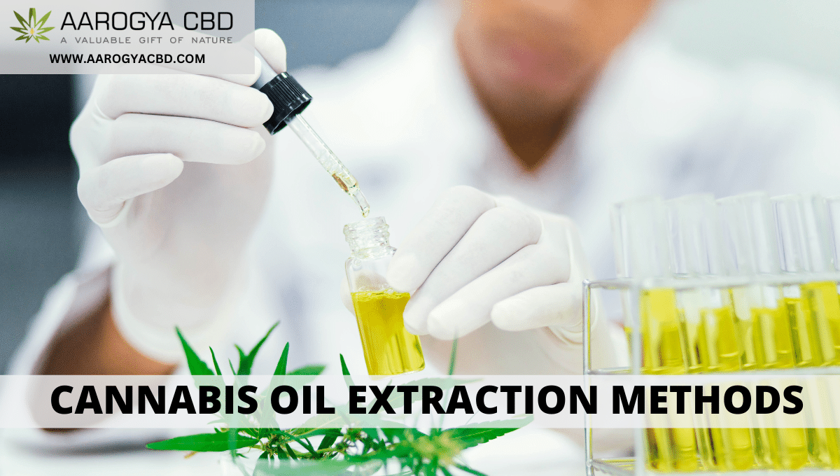 Cannabis Oil Extraction Methods