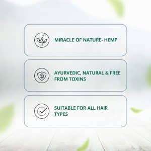 Hampa Hemp Hair Regrowth Oil