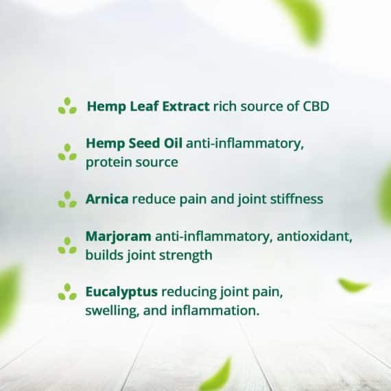 Hampa Hemp Arthritis Care Oil