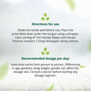 Hampa Vijaya Extract Tincture (11.2%)