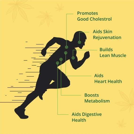Hampa Hemp Seed Oil
