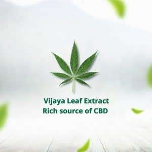 Hampa Vijaya Extract Tincture (2.5%) for Pets