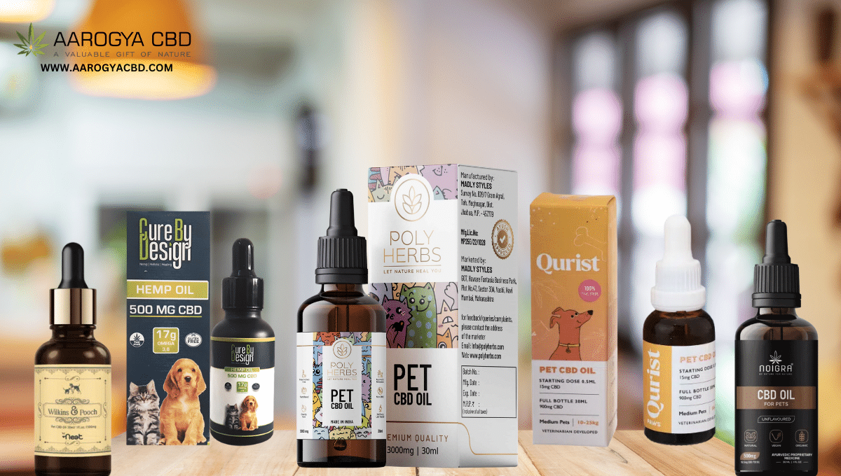 Best CBD Oil For Dogs To Help with Anxiety, Pain, Seizures, Tumor & More