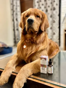 Polyherbs Pets CBD Oil