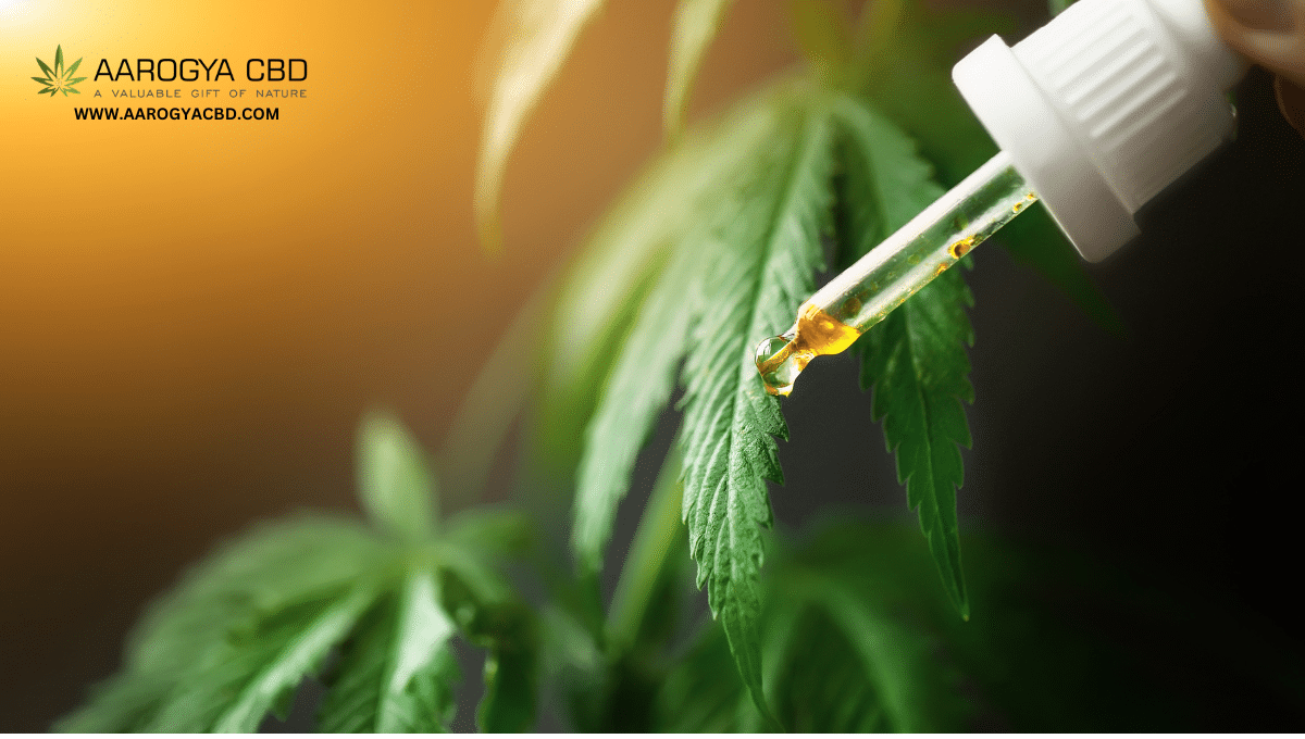What are the Best CBD Oil Companies in Indian Market Right Now?