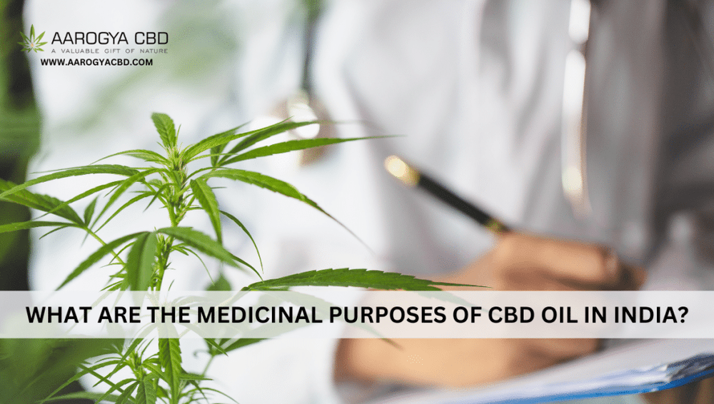 What are the medicinal purposes of CBD oil in India?