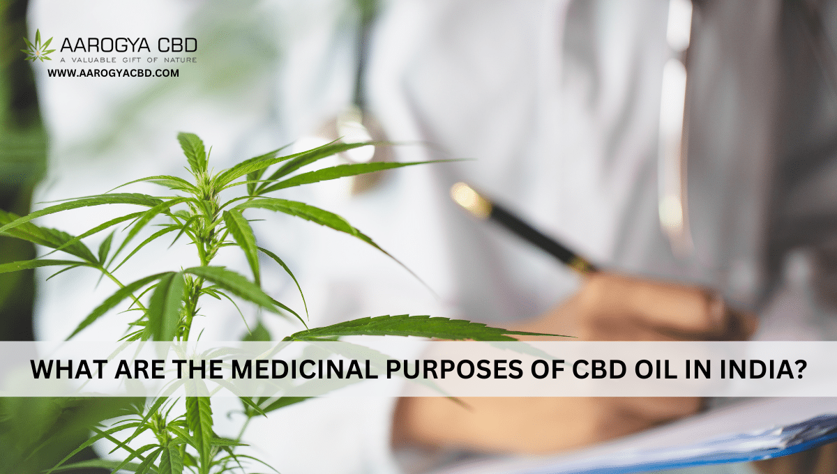 What are the medicinal purposes of CBD oil in India?