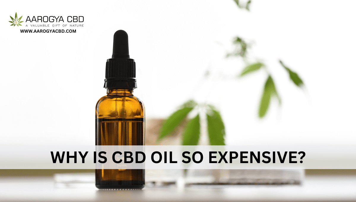 Why is CBD oil so expensive?