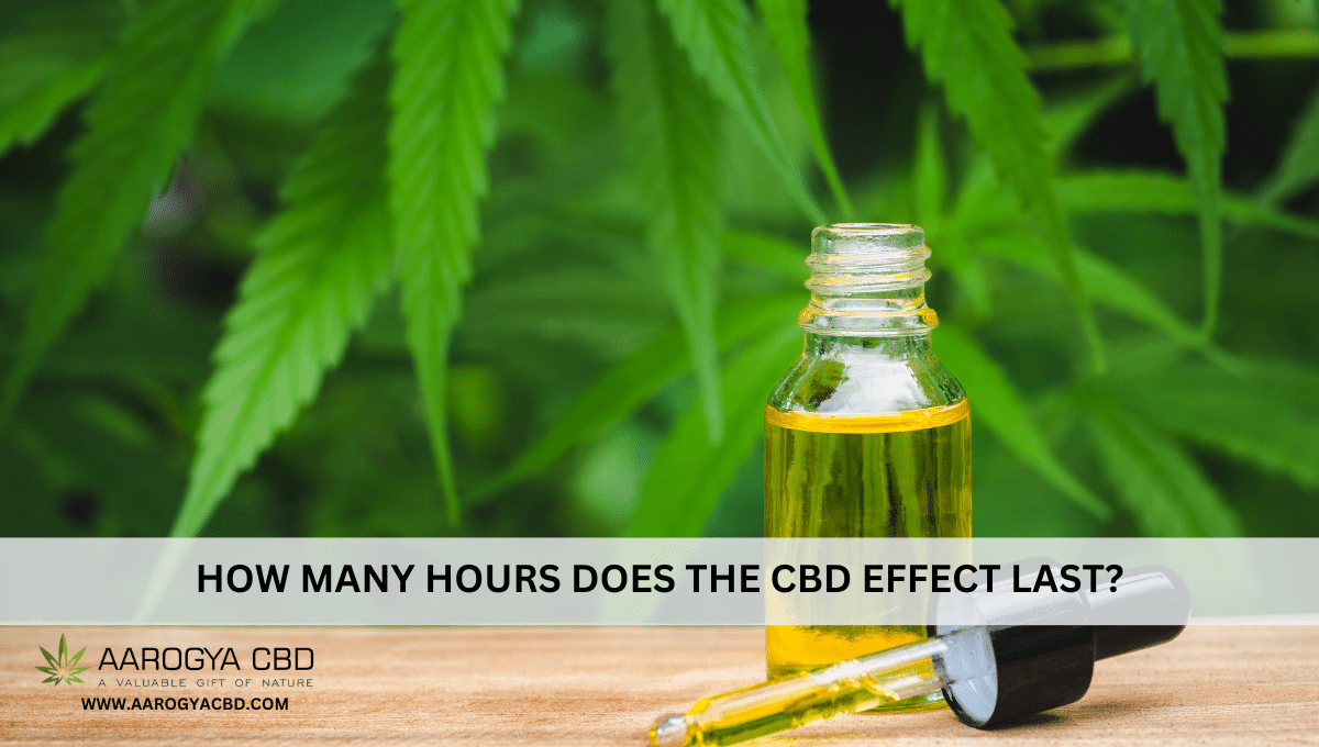 How many hours does the CBD effect last?