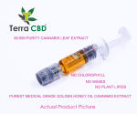 Terra CBD – Strain Specific Cannabis Extract – Amnesia Haze