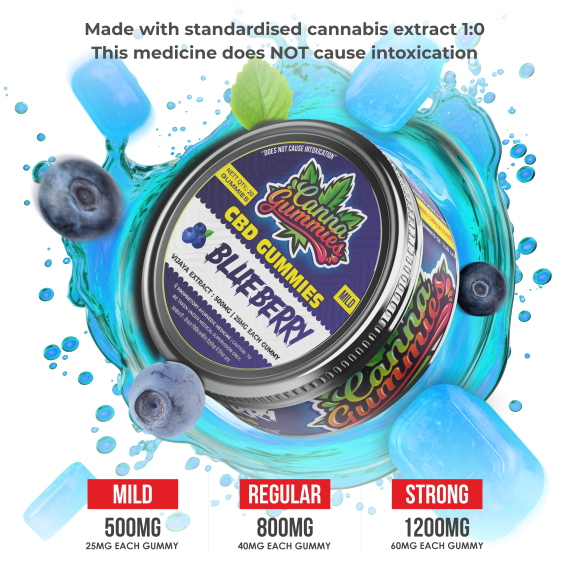 Canna Gummies – CBD Gummies 1:0 - BlueBerry