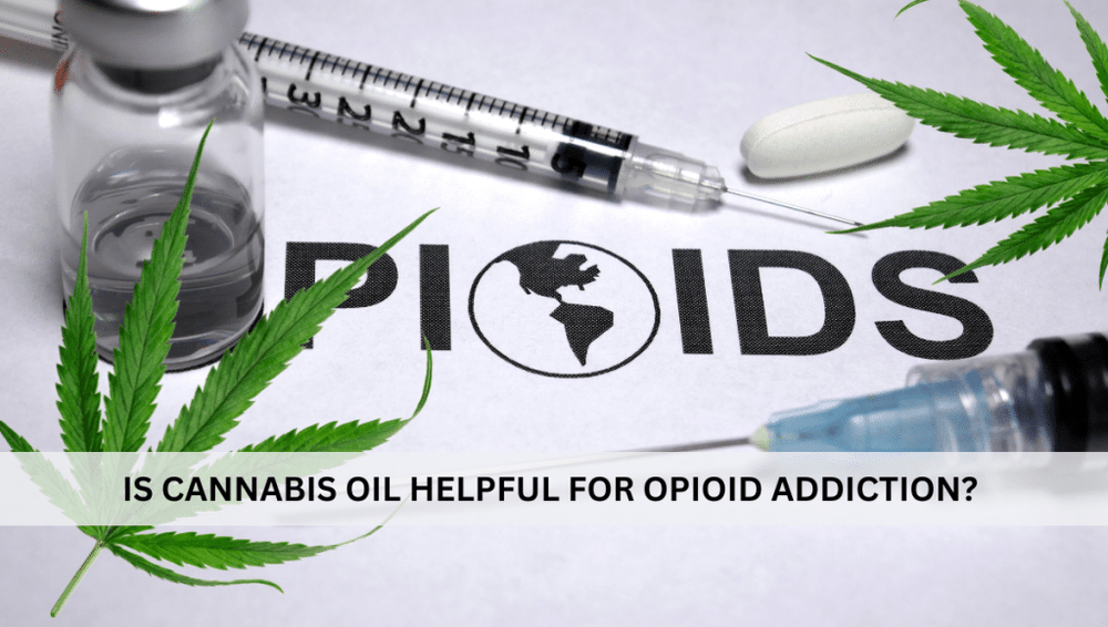 Is Cannabis Oil Helpful for Opioid Addiction?