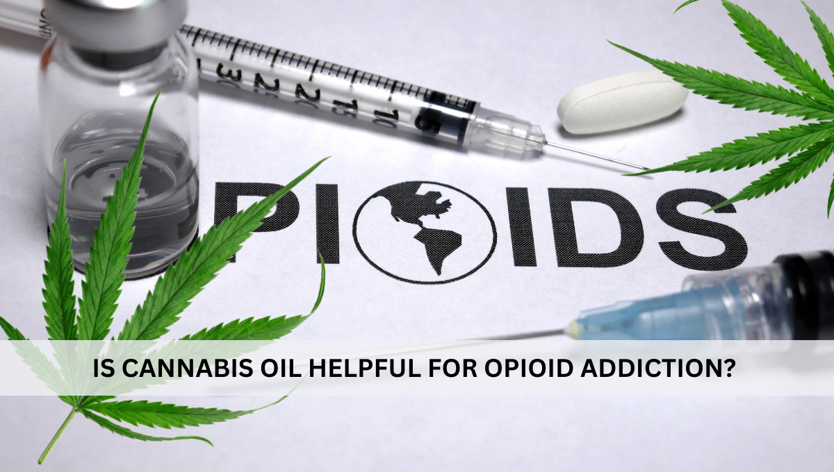 Is Cannabis Oil Helpful for Opioid Addiction?