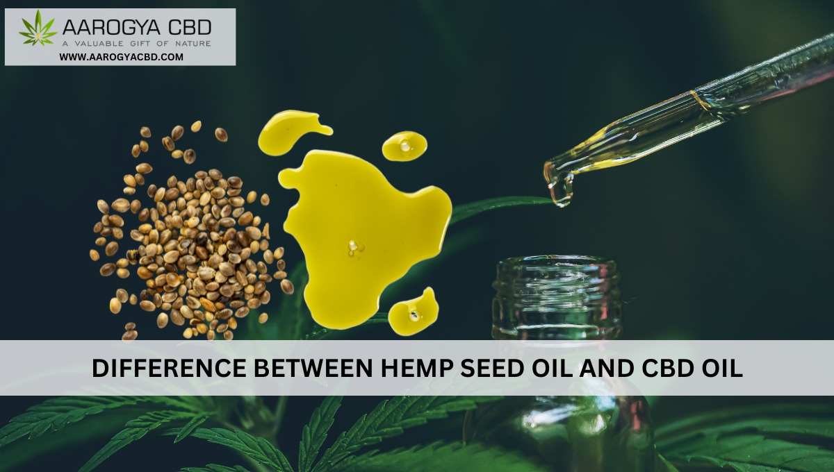 Difference Between Hemp Seed Oil and CBD Oil: Learn how they are different from each other