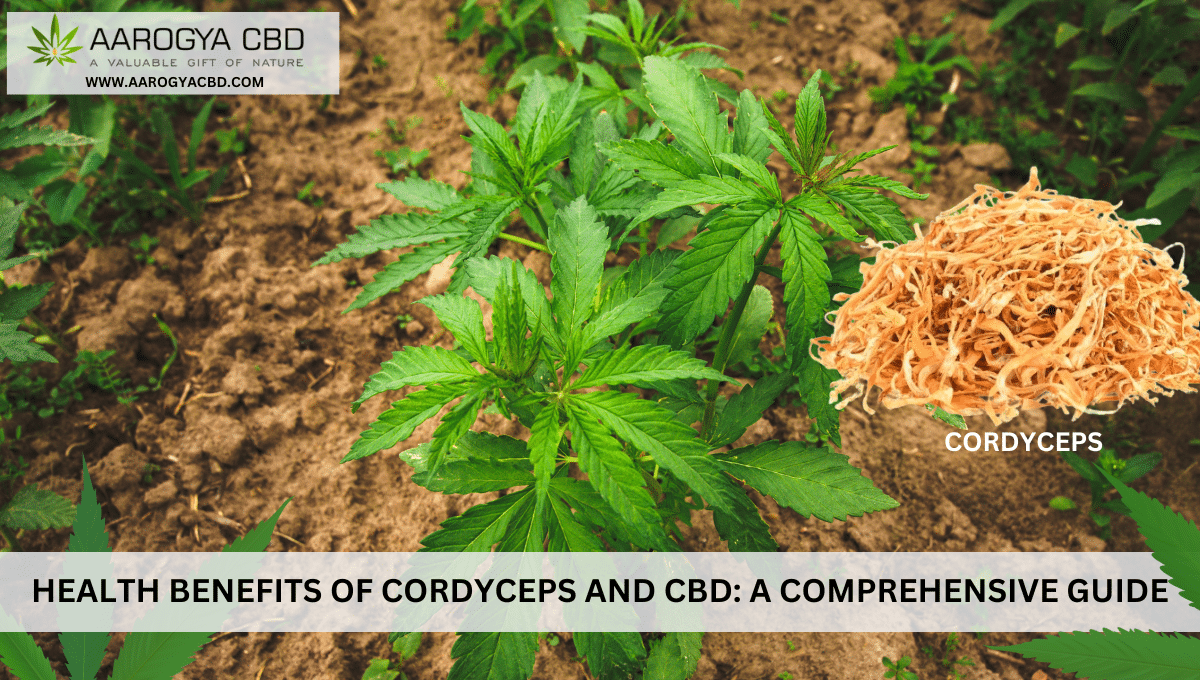 Health Benefits of Cordyceps and CBD: A Comprehensive Guide