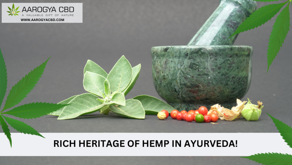 Rich Heritage of Hemp in Ayurveda!