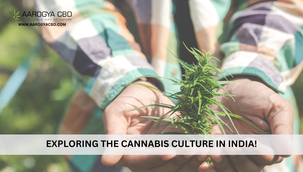 Exploring the Cannabis Culture in India!