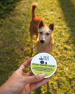 Indie extracts Furry Friend Balm