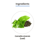 MediZen Green Tea Extract 700mg | 90% Total Polyphenols | High-Potency Antioxidant Support | Specialized for Cancer Care | 60 Tablets