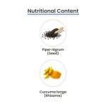 MediZen Curcumin 1010mg with Piperine | 95% Curcuminoids | Inflammation Relief & Immunity Booster | Specialized for Cancer Care | 60 Tablets