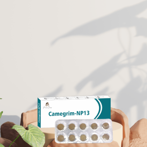 Paarmi Cares Camegrim-NP13 (For Migrain)