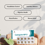 Paarmi Cares Camegrim-NP13 (For Migrain)